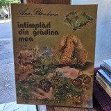 Ana Blandiana - Intamplari din gradina mea (ilustratii de Doina Botez)