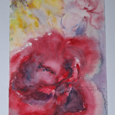 Pictura in acuarela neinramata - floare de trandafir, semnata, 2007 17x24 cm