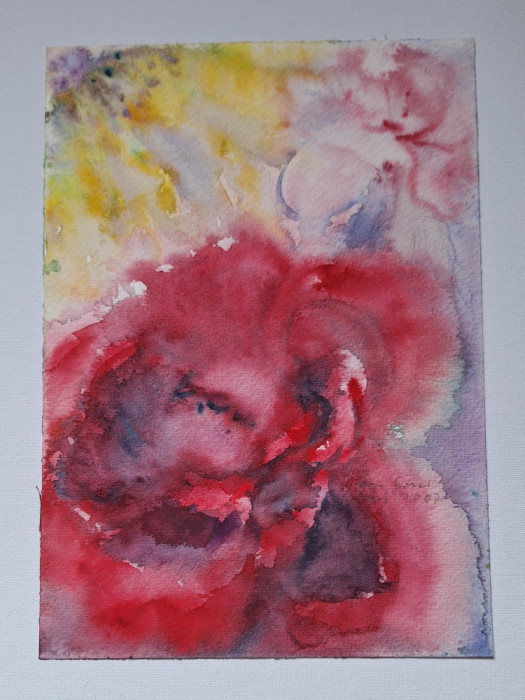 Pictura in acuarela neinramata - floare de trandafir, semnata, 2007 17x24 cm