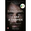 Nincs bar&aacute;tunk, csak a hegyek - &Iacute;r&aacute;sok a b&ouml;rt&ouml;nből - Behrouz Boochani