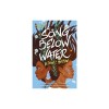 A Song Below Water