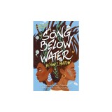 A Song Below Water