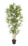Cumpara ieftin Planta artificiala in ghiveci Bambus 70x70x155 cm