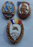 ROMANIA - SET 3 INSIGNE : VETERAN DE RAZBOI + VETERAN DIN RAZBOIUL ANTIFASCIST + AVSAP , IM1.260