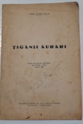 1942 Ion Chelcea, Tiganii aurari / etnologie, antropologie rromi / romi foto