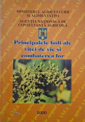 Principalele boli ale vitei de vie si combaterea lor foto