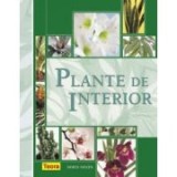 Dorte Nissen - Plante de interior