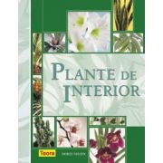 Dorte Nissen - Plante de interior foto