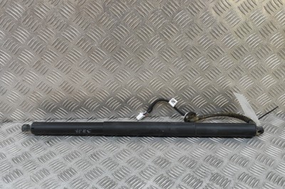 Amortizor haion dreapta TESLA MODEL Y 2022 OEM: 1500601-10-B 29992355 foto