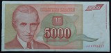 Cumpara ieftin Bancnota 5000 DINARI / DINARA - YUGOSLAVIA, anul 1993 * cod 239