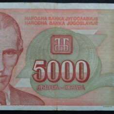 Bancnota 5000 DINARI / DINARA - YUGOSLAVIA, anul 1993 * cod 239