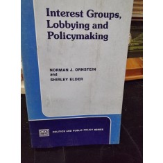 Interest Groups, Lobbying and Policymaking - Norman J. Ornstein