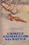 C. Rosetti-Balanescu - Urmele animalelor salbatice