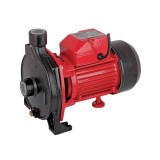 Pompa de apa centrifugala de suprafata periferica Raider, 850 W, 2900 rpm, 35 m, 7200 l/h