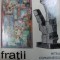 FRATII ARAMESCU-PETRU COMARNESCU, BUC.1972