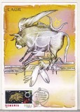 bnk fil Taur - Semnele zodiacului 2002 - prima zi a emisiunii