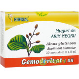 Muguri de Arin Negru 30monodz