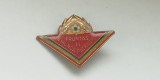 QW9 K 78 - Insigna - tematica comunism - Fruntas in munca patriotica locul II