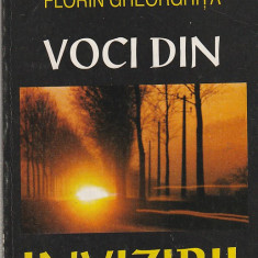 FLORIN GHEORGHITA - VOCI DIN INVIZIBIL