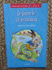 Iepurele și țestoasa. Poveste cu pictograme. Citesc cu ajutor (Nivelul 1) foto