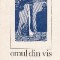 Omul din vis - poem in proza