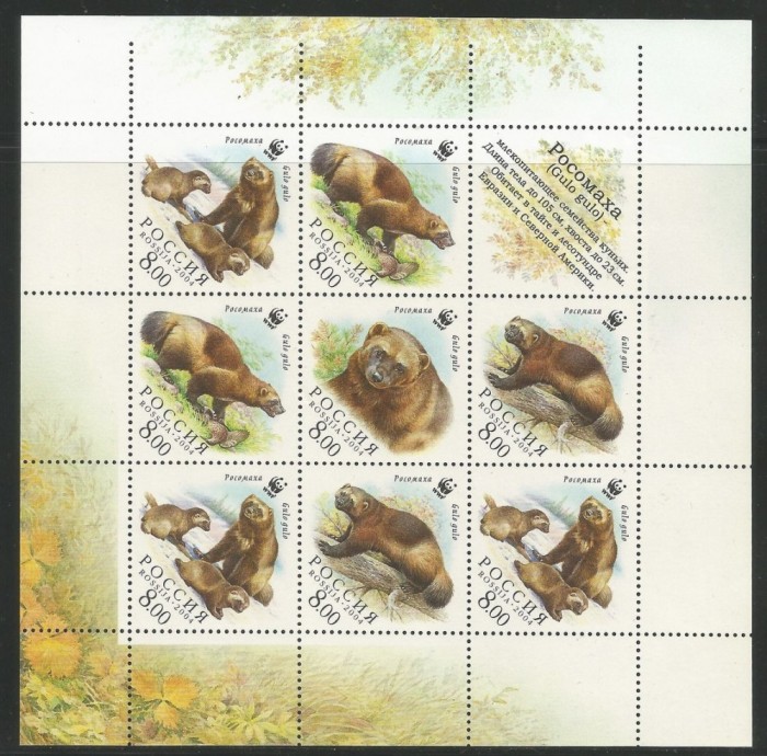 RUSIA 2004 WWF FAUNA PROTEJATA GLUTON
