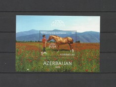 AZERBAIJAN 2022 FAUNA ANIMALE DOMESTICE CAI
