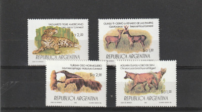 Fauna,animale,Argentina. foto
