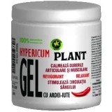 GEL CU ARDEI IUTE 500ML, Hypericum