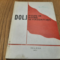 DOLJ - Pagini de Istorie Revolutionara - Florin Tanasescu (autograf) -1971, 165p