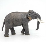 Figurina Elefant Asiatic Papo, plastic multicolor, 3+ ani, animale salbatice. Dimensiuni 14.44 x 5.92 x 10.25 cm