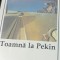 TOAMNA LA PEKIN BORIS VIAN