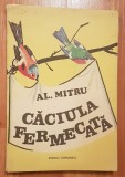 Caciula fermecata de Alexandru Mitru, ilustratii V. Penisoara