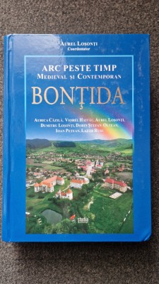 ARC PESTE TIMP. BONTIDA - Aurel Losonti 2016 foto