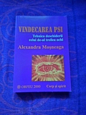 Vindecarea PSI - Alexandra Mosneaga foto