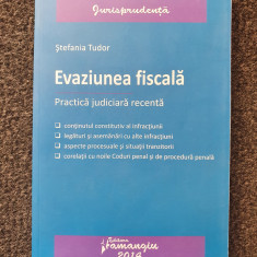 EVAZIUNEA FISCALA - Stefania Tudor