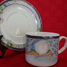 SET / CANA SI FARFURIE DIN PORTELAN ROYAL ,,ARCADIA,,