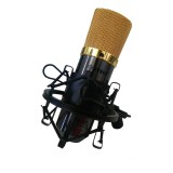 Cumpara ieftin Microfon Studio Profesional WVNGR DL-700, Condensator Cardioid, Kit Complet, Inregistrare HI-FI, XLR, Shock Mount