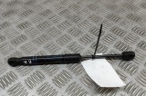Amortizor capota st&acirc;nga față BMW 3 F30, F80 2016 OEM: 7239233 27550149