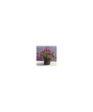 Planta Lavandă stoechas dark pink, planta lavandula da talea stoechas dark pink gp, ghiveci de 10 cm, Oem