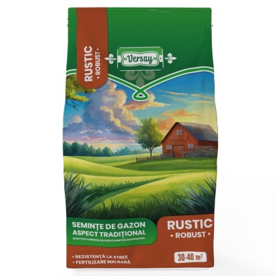 Seminte gazon rustic Versay, 1 kg foto