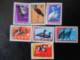Congo Kinshasa-Fauna,pasari-serie completa,nestampilate MNH