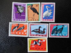Congo Kinshasa-Fauna,pasari-serie completa,nestampilate MNH foto