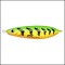 LINGURA OSCILANTA CU SISTEM ANTIBRADIS RAPALA 32G 10CM FT