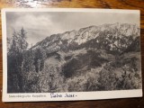 MUNTII CARPATI - SIEBENBURGISCHE KARPATHEN - PIATRA CRAIULUI, Circulata, Fotografie