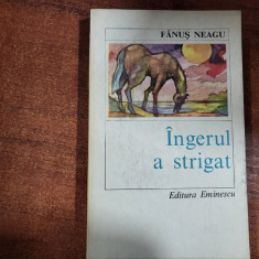 Ingerul a strigat de Fanus Neagu