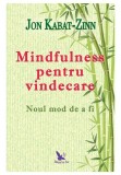 Cumpara ieftin Mindfulness pentru vindecare