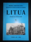 Litua. Studii si cercetari volumul 10 (2004)