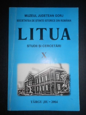 Litua. Studii si cercetari volumul 10 (2004) foto
