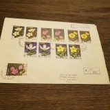 Plic filatelic URSS 1977 Flori sălbatice - (Plic format mare), Dupa 1950